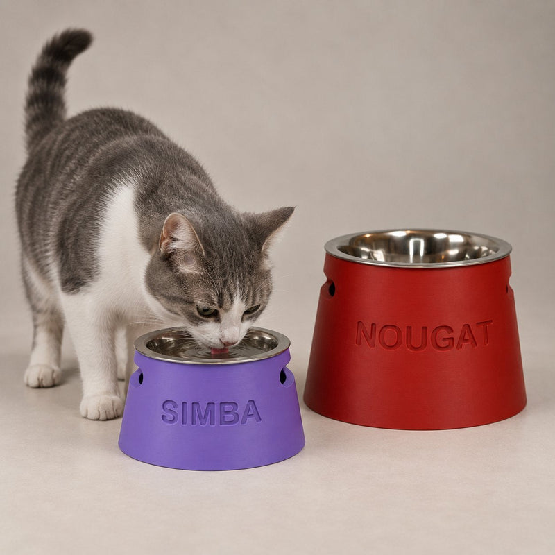 Chat mangeant dans une gamelle surélevée personnalisée Miawouf violet gravée Simba, à côté d'une gamelle rouge Nougat