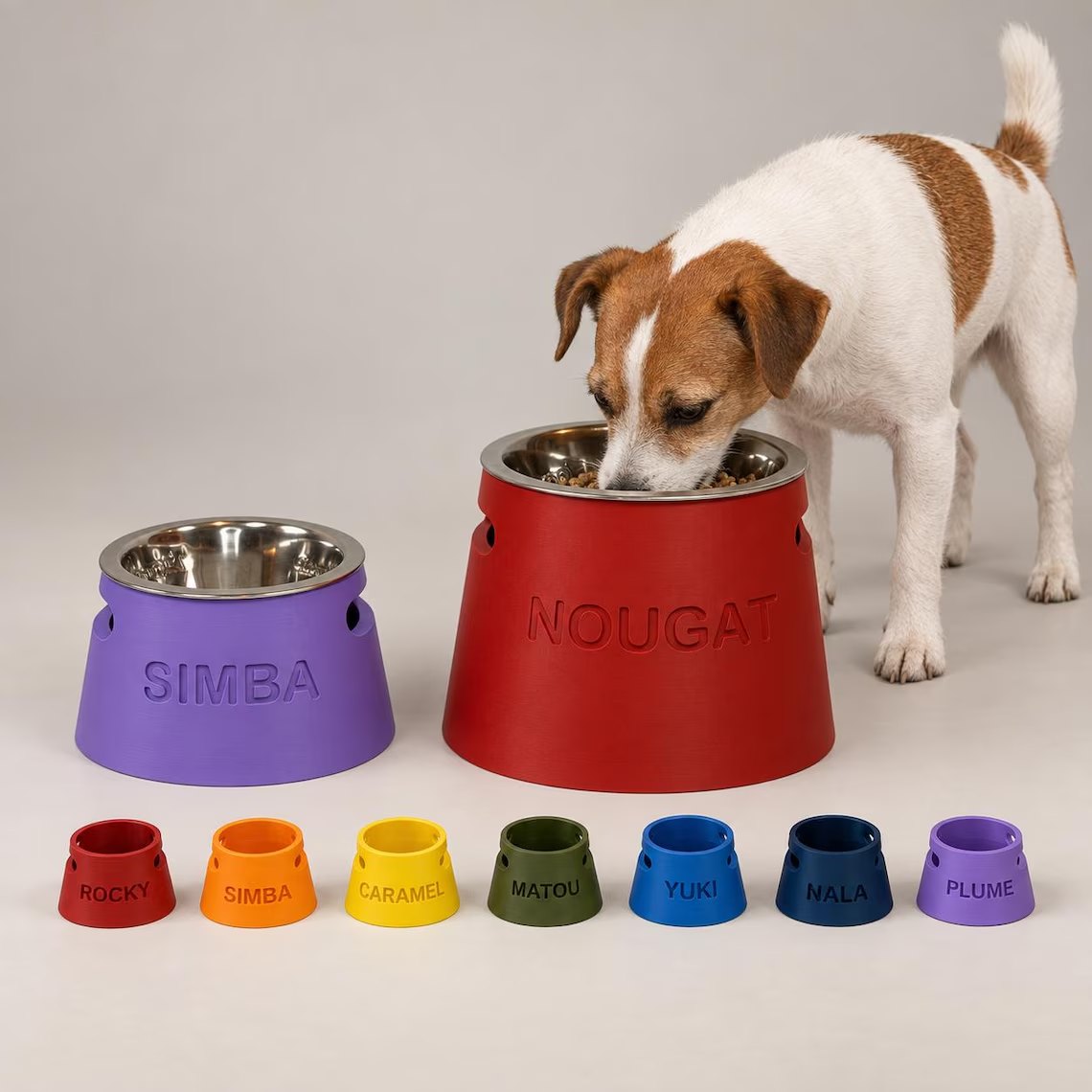 Chien mangeant dans une gamelle surélevée personnalisée Miawouf rouge gravée Nougat, avec bol intérieur en inox amovible