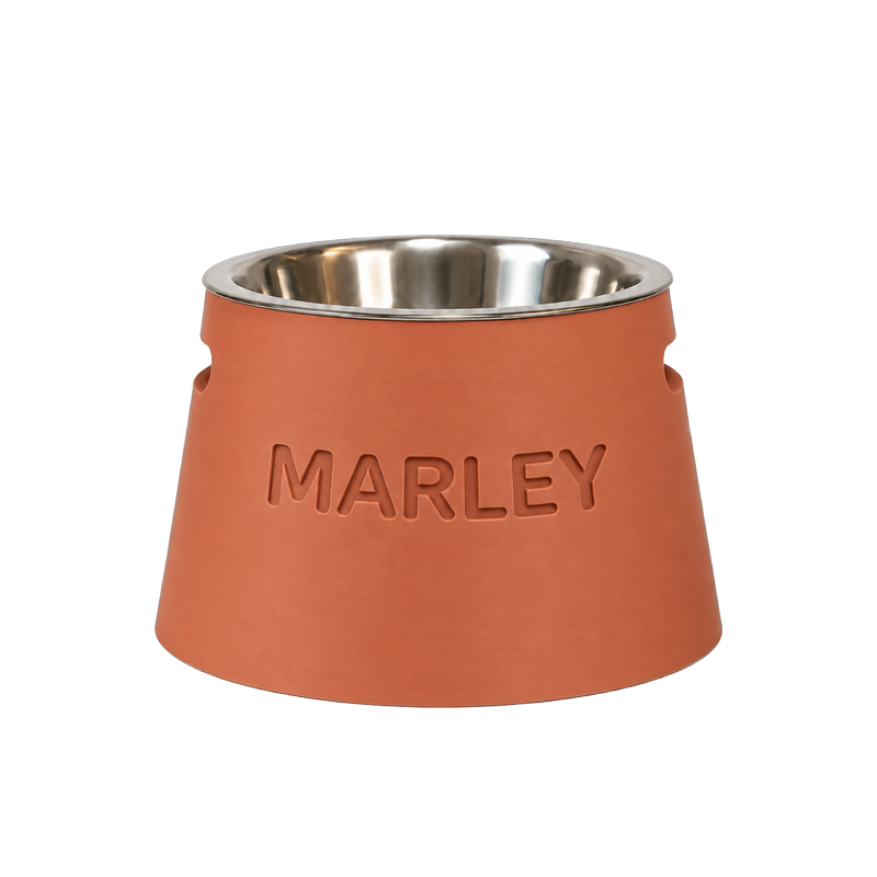 Gamelle personnalisée pour chat et chiot — Taille M, 450 ml